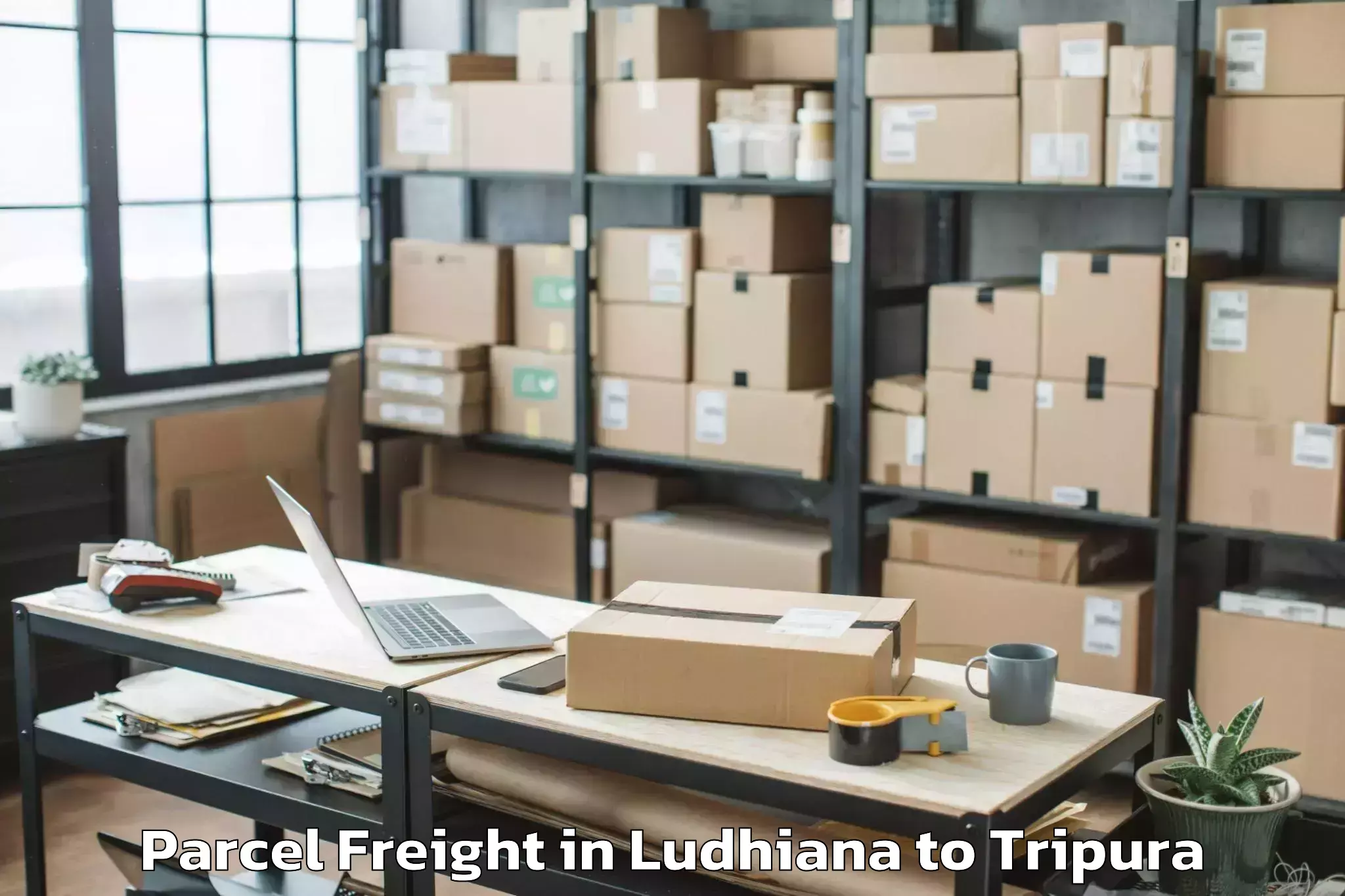 Ludhiana to Ambasa Parcel Freight